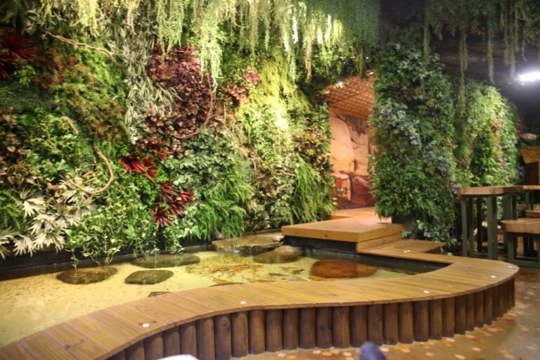 Na Floresta SP: Experiência em contato com a natureza!